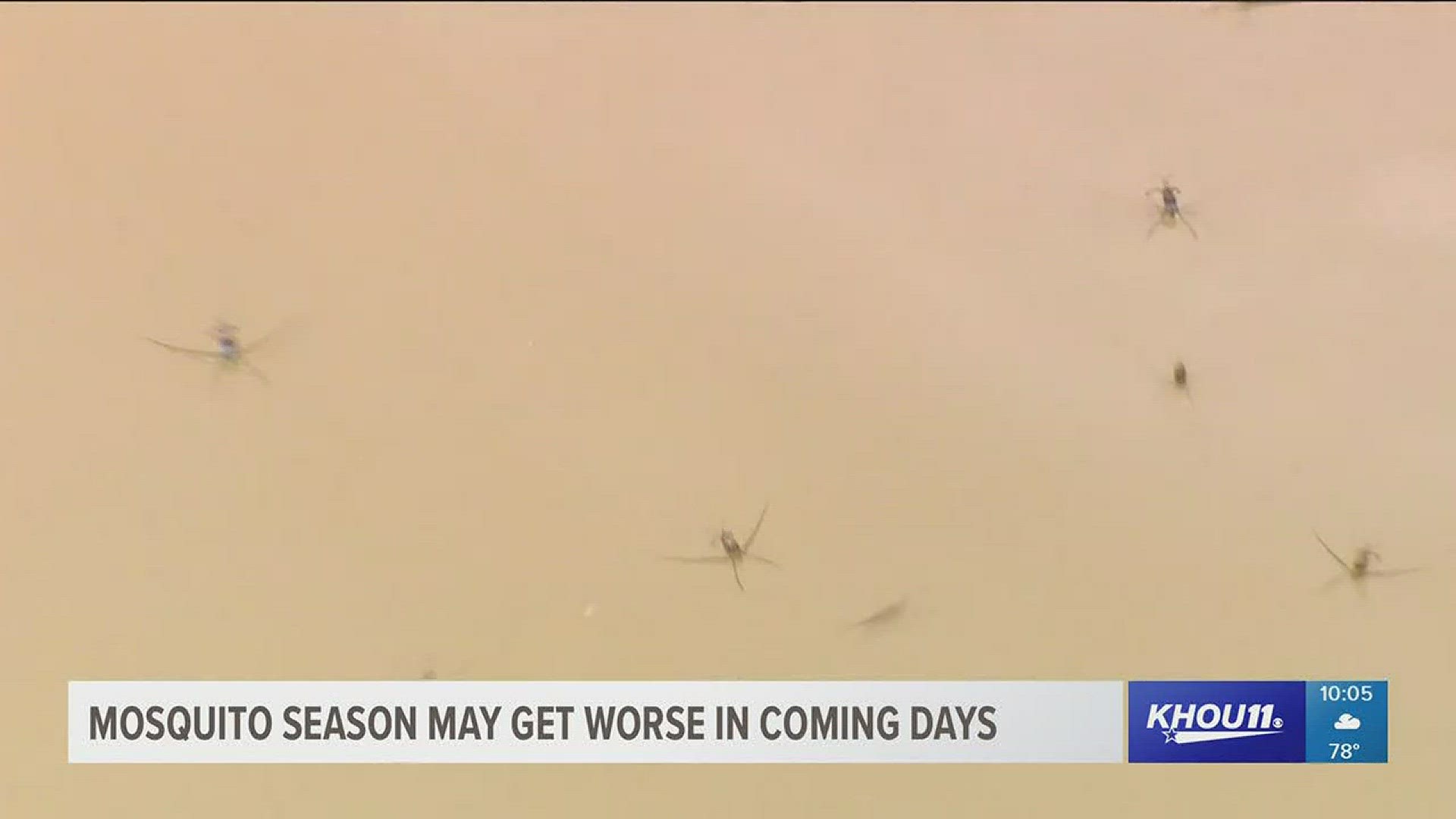 Mosquito Control in Brazoria County says they're concerned the mosquito problem there could worse after the rain this weekend.
