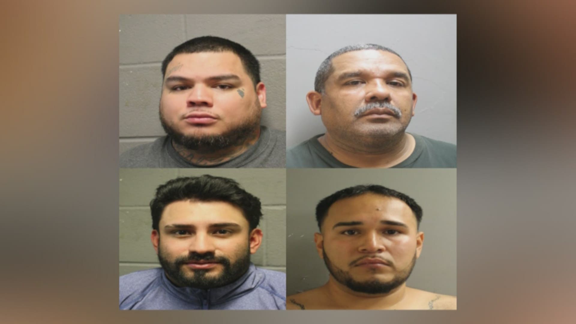 Major Auto Theft Ring Busted By Harris County Sheriff S Office Khou Com