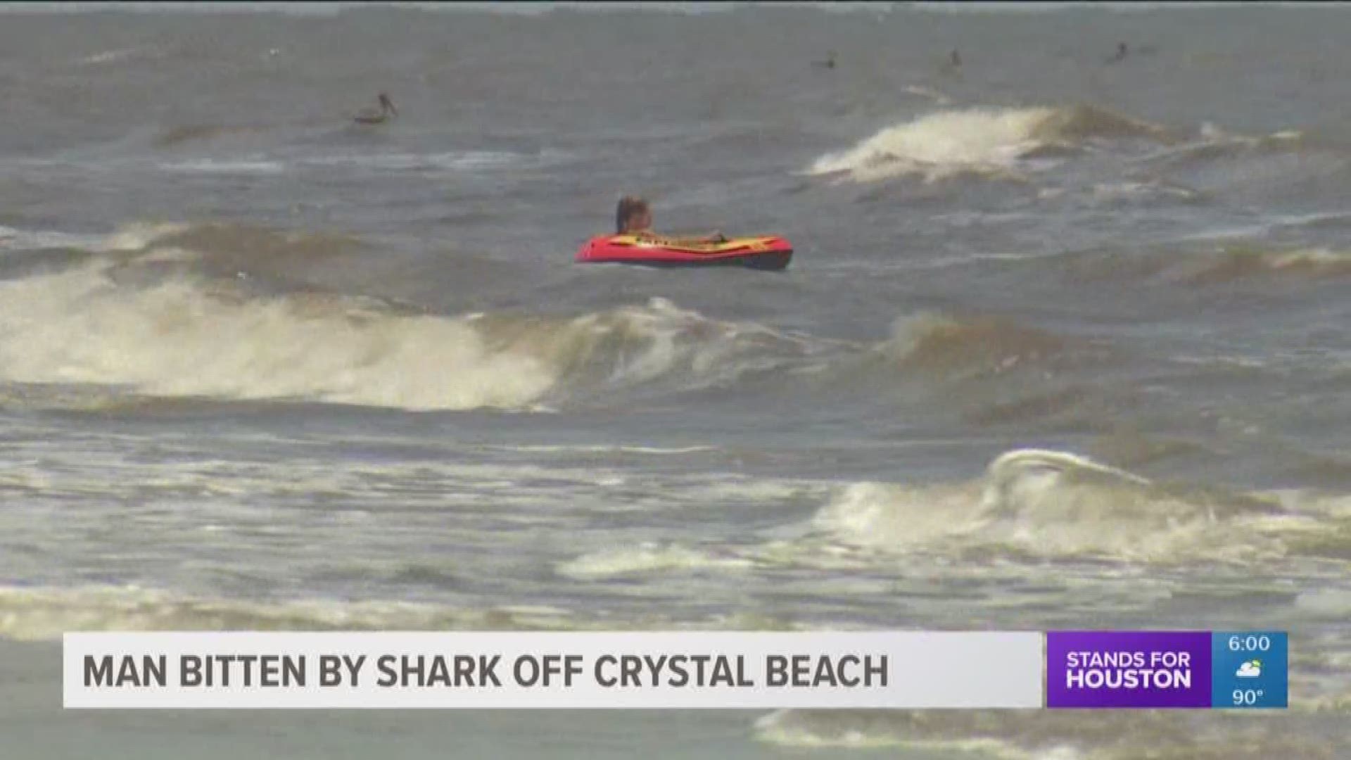 A beachgoer was rushed to the hospital Thursday after being bitten by a shark near Crystal Beach on Bolivar Peninsula. The victim reportedly told paramedics: "The shark bumped me. Then he wanted to taste me."