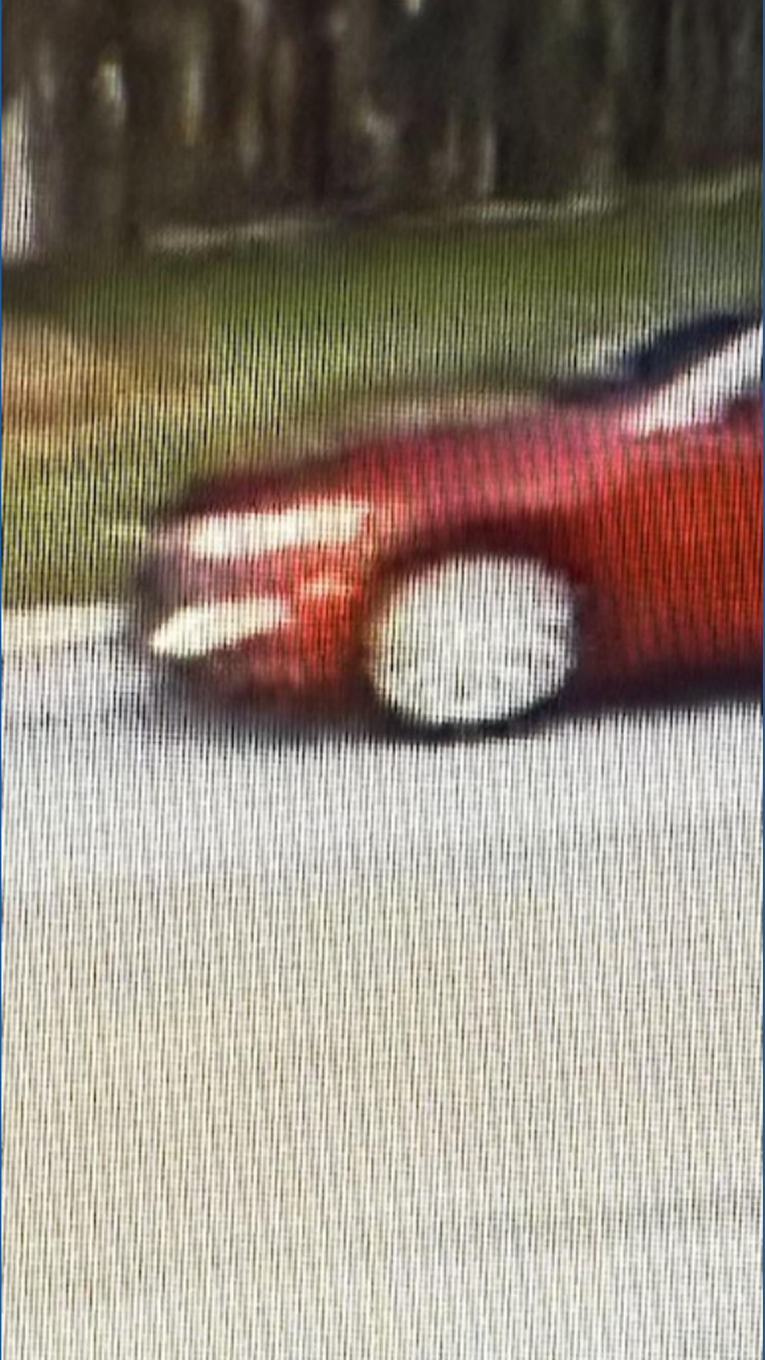 Elderly man hit and killed by vehicle in north Harris County | khou.com