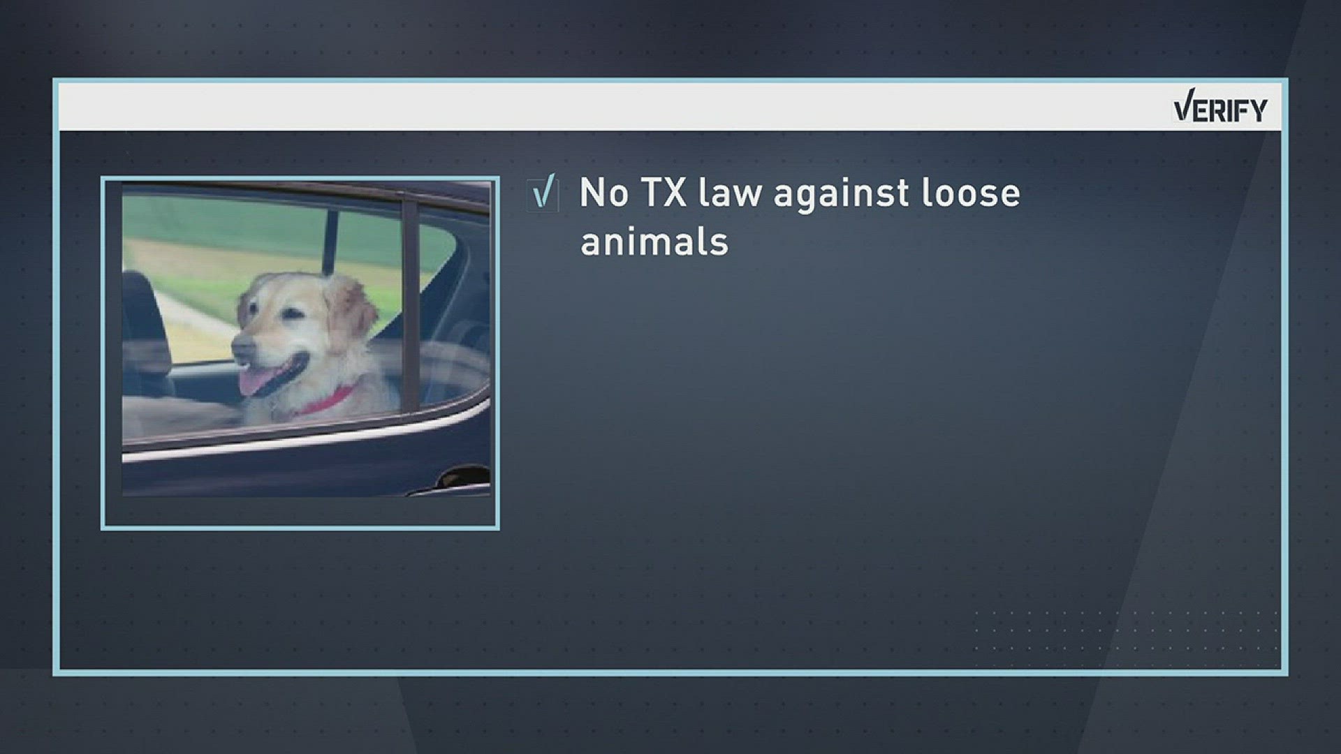 VERIFY Is it illegal to have pets unrestrained inside a vehicle