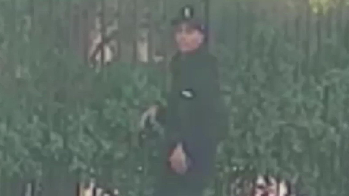 Video: Perampok bersembunyi di pohon saat memangsa pelanggan ATM di Houston barat