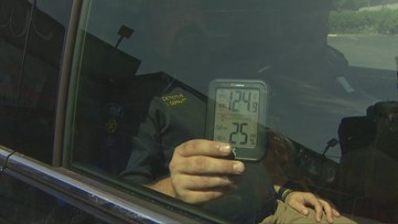 Demonstration proves the dangers of leaving people inside hot cars