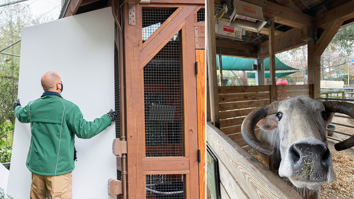 Houston Zoo prepares for freezing weather with special protocols for animals