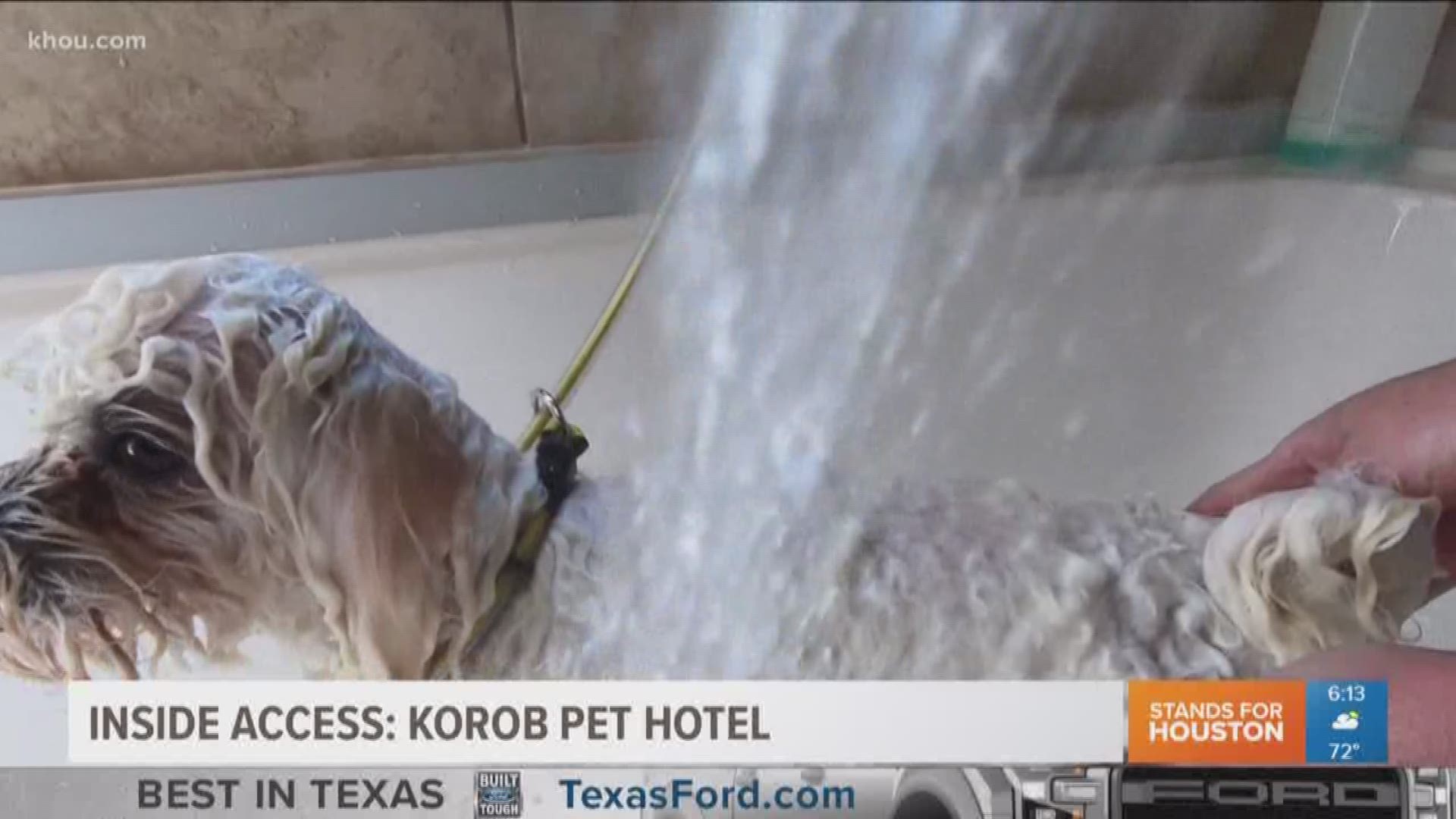 Thursday morning we have Inside Access to a local pet hotel that does some of the best dog grooming in town. 