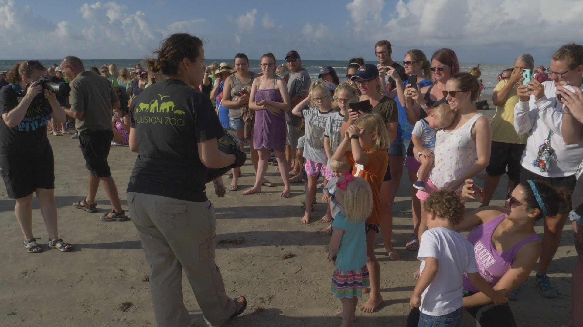 A group of sea turtles were released into the wild after undergoing months of rehabilitation in Galveston.