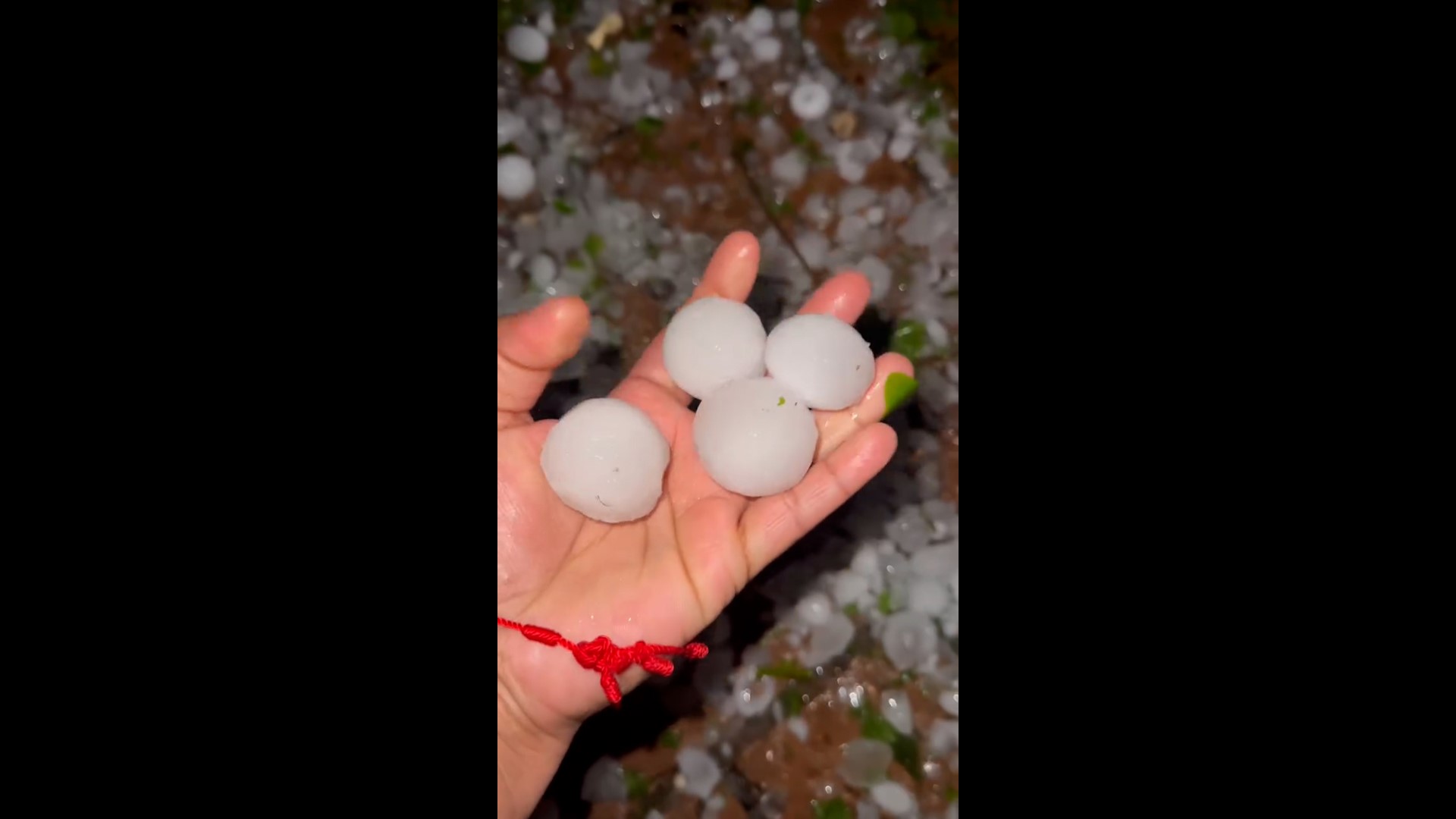 Jessika Palomo shared this video of golf ball-sized hail in Needville Texas on March 16, 2024.