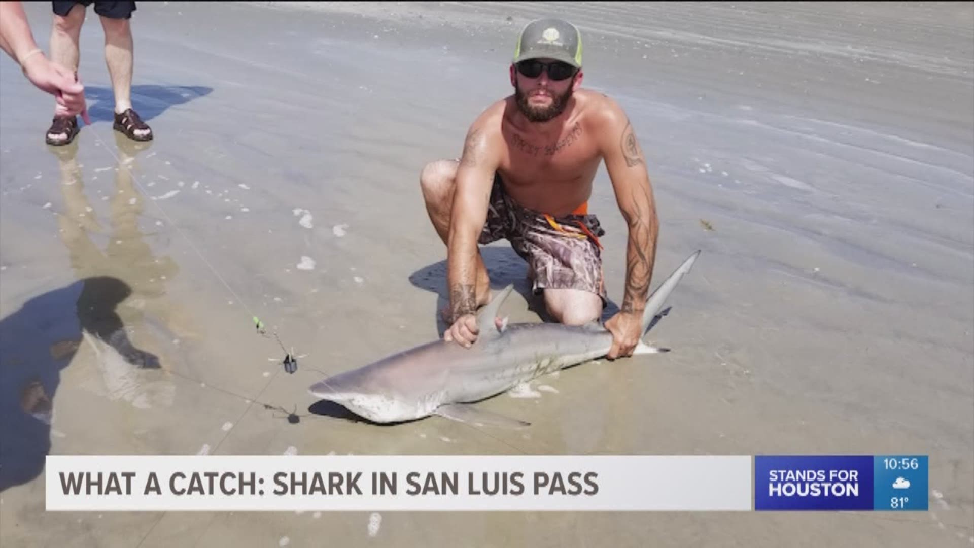 What a Catch: Shark in San Luis Pass