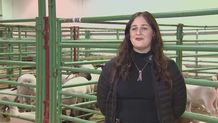 Goat raising skills highlight Rodeo scholarship opportunities