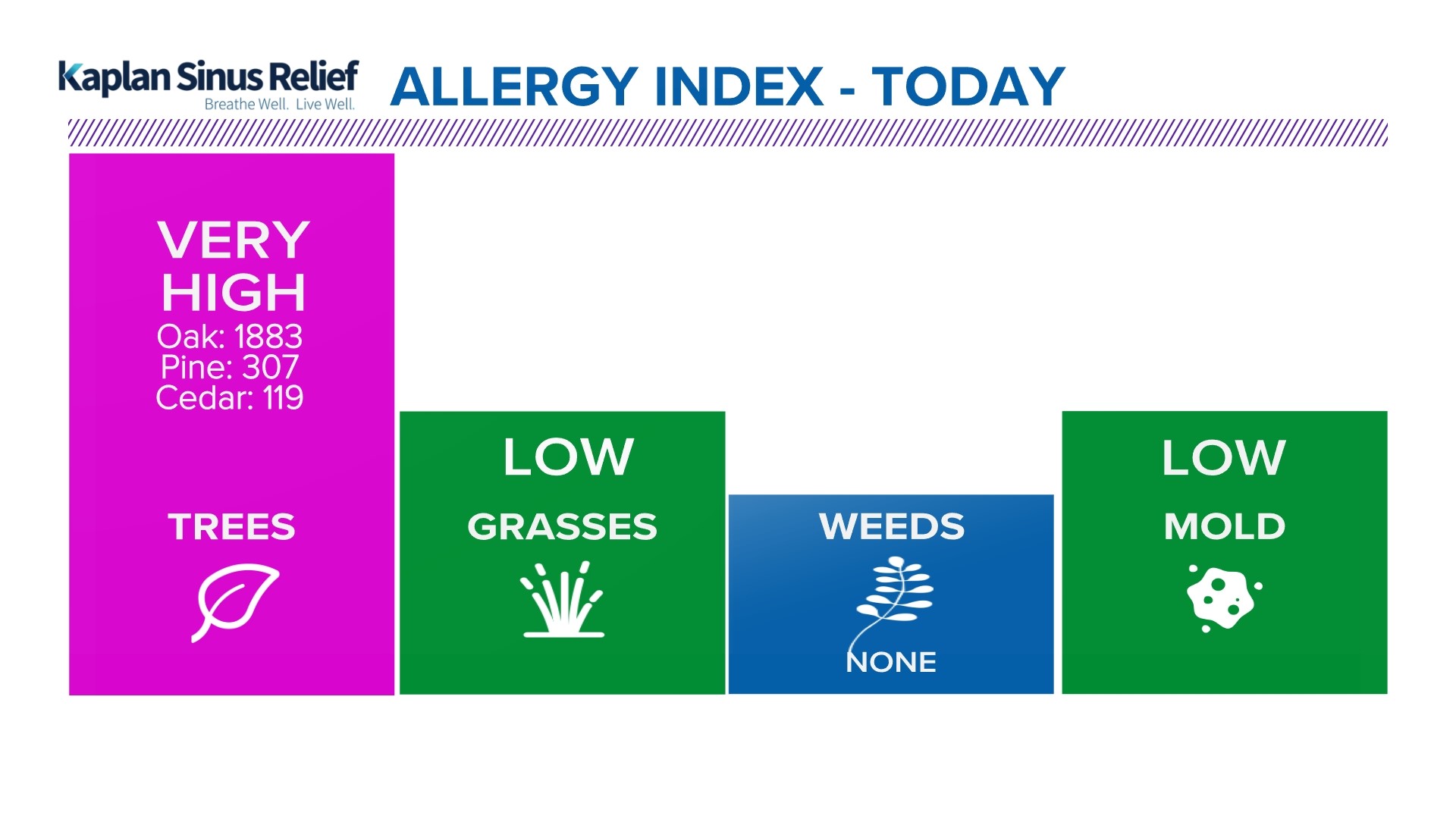 Pollen count Houston today khou