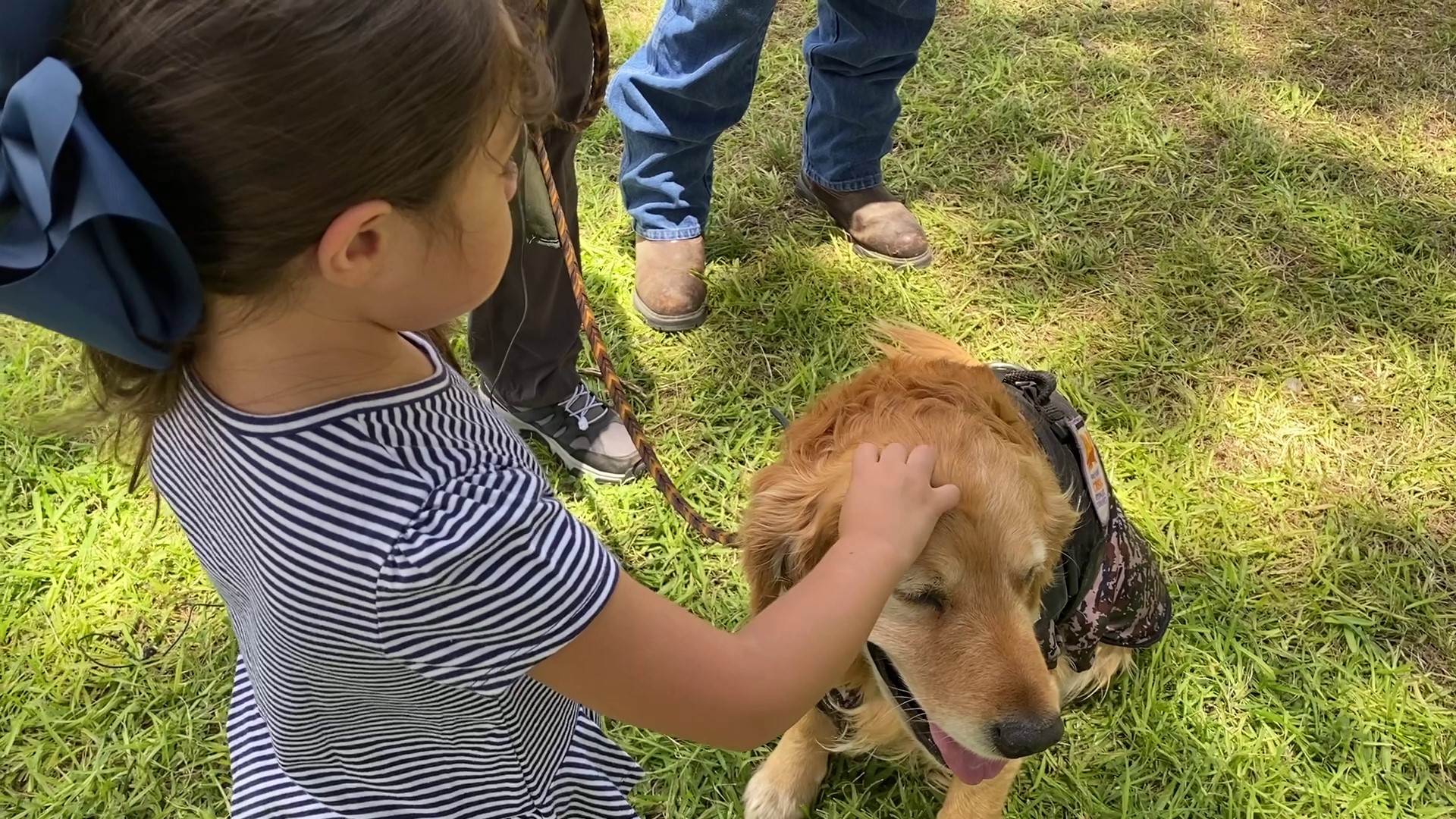 Several volunteer groups are in Uvalde right now. Some brought therapy dogs, while others brought trained crisis dogs.