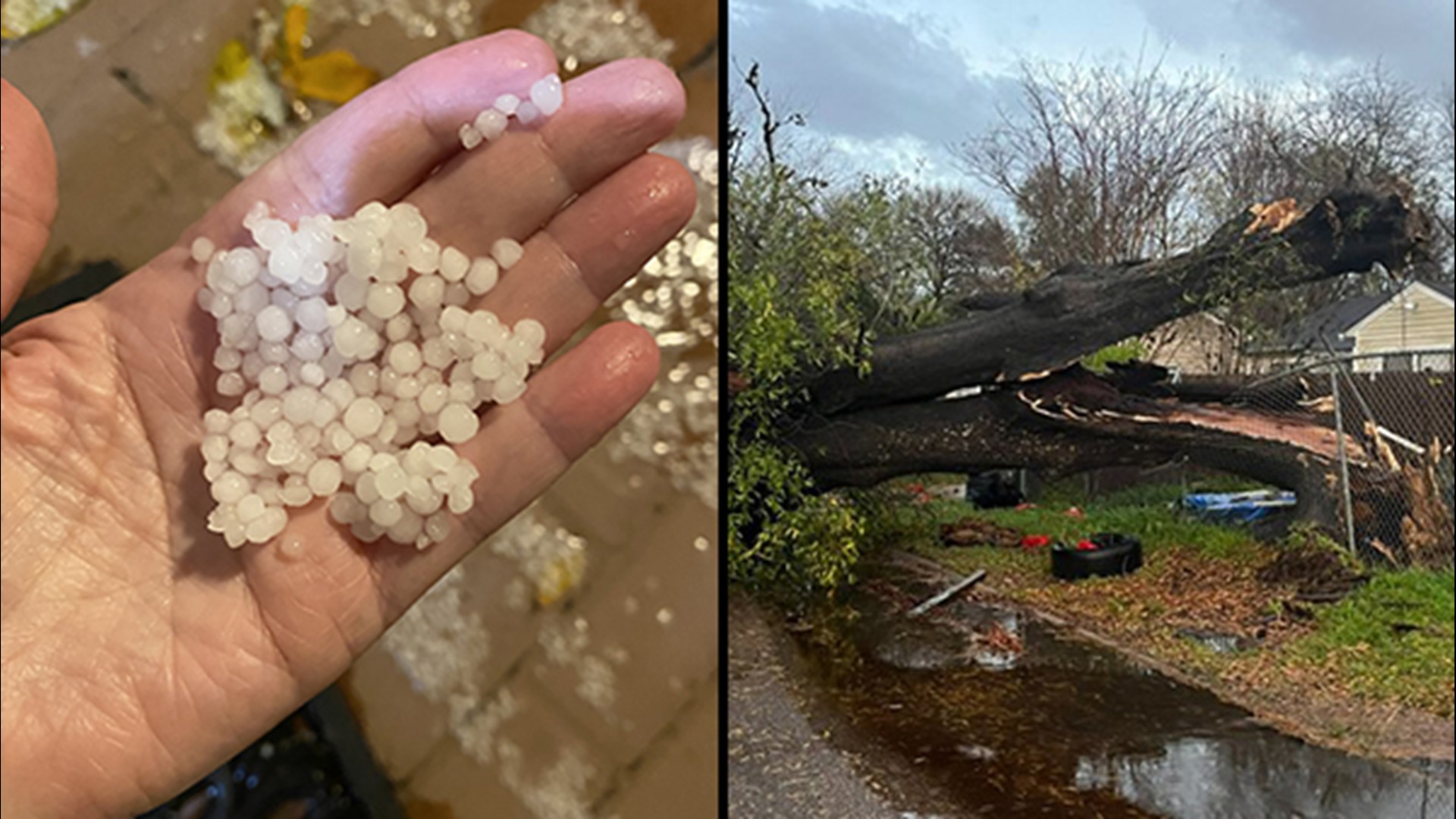 Houston's Leading Local News Weather, Traffic, Sports and more