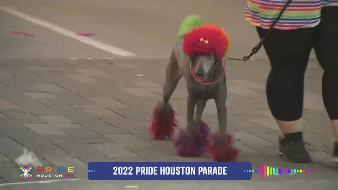 Styling dog walking in the Pride Houston 365 Parade