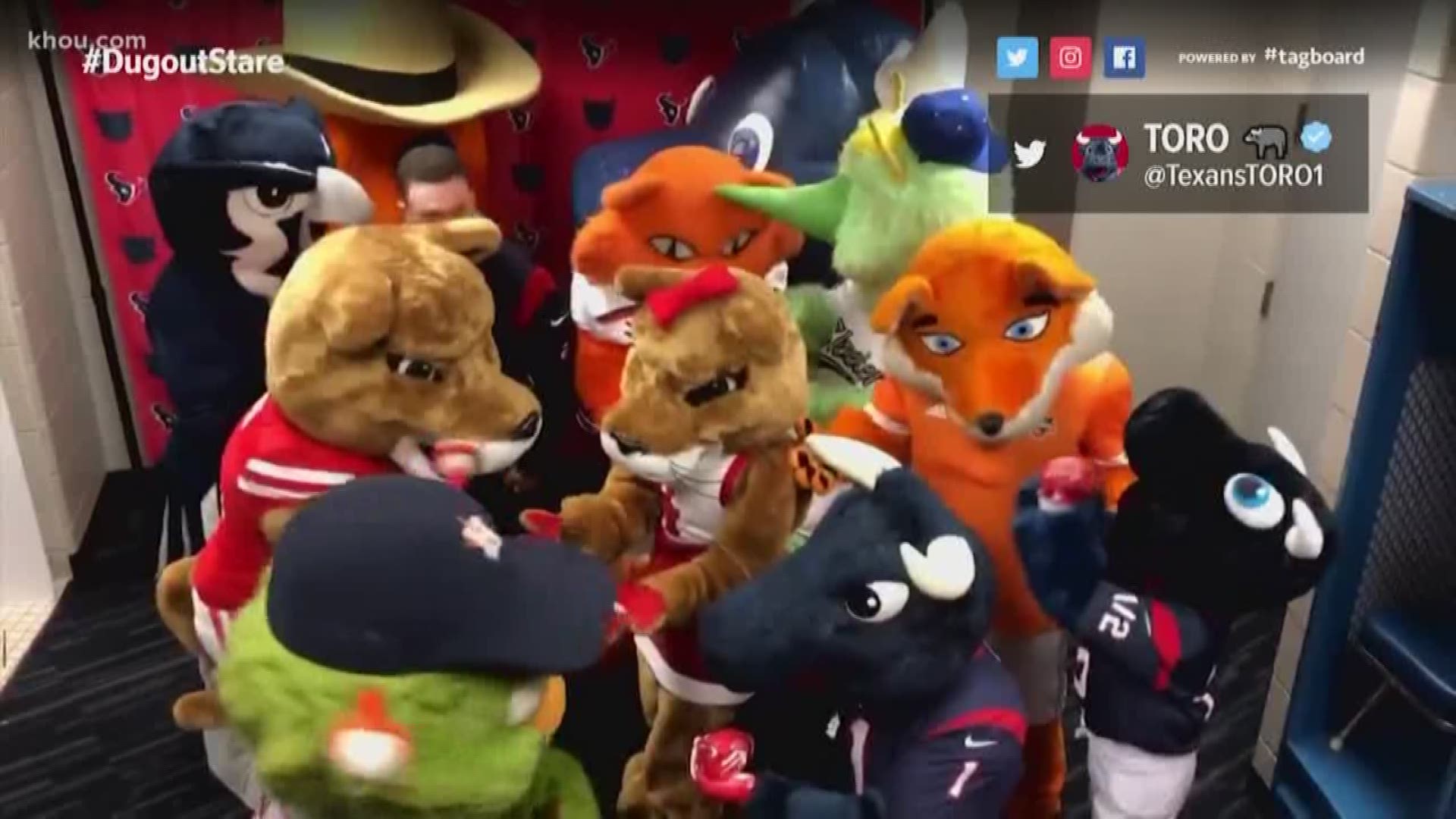 Is it a chicken? Astros and Braves fans struggle to name each other's  mascots - ABC13 Houston