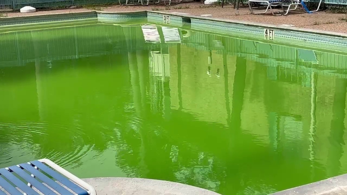 KHOU 11 Investigates: Houston health inspectors rarely fine swimming pools for dangerous conditions