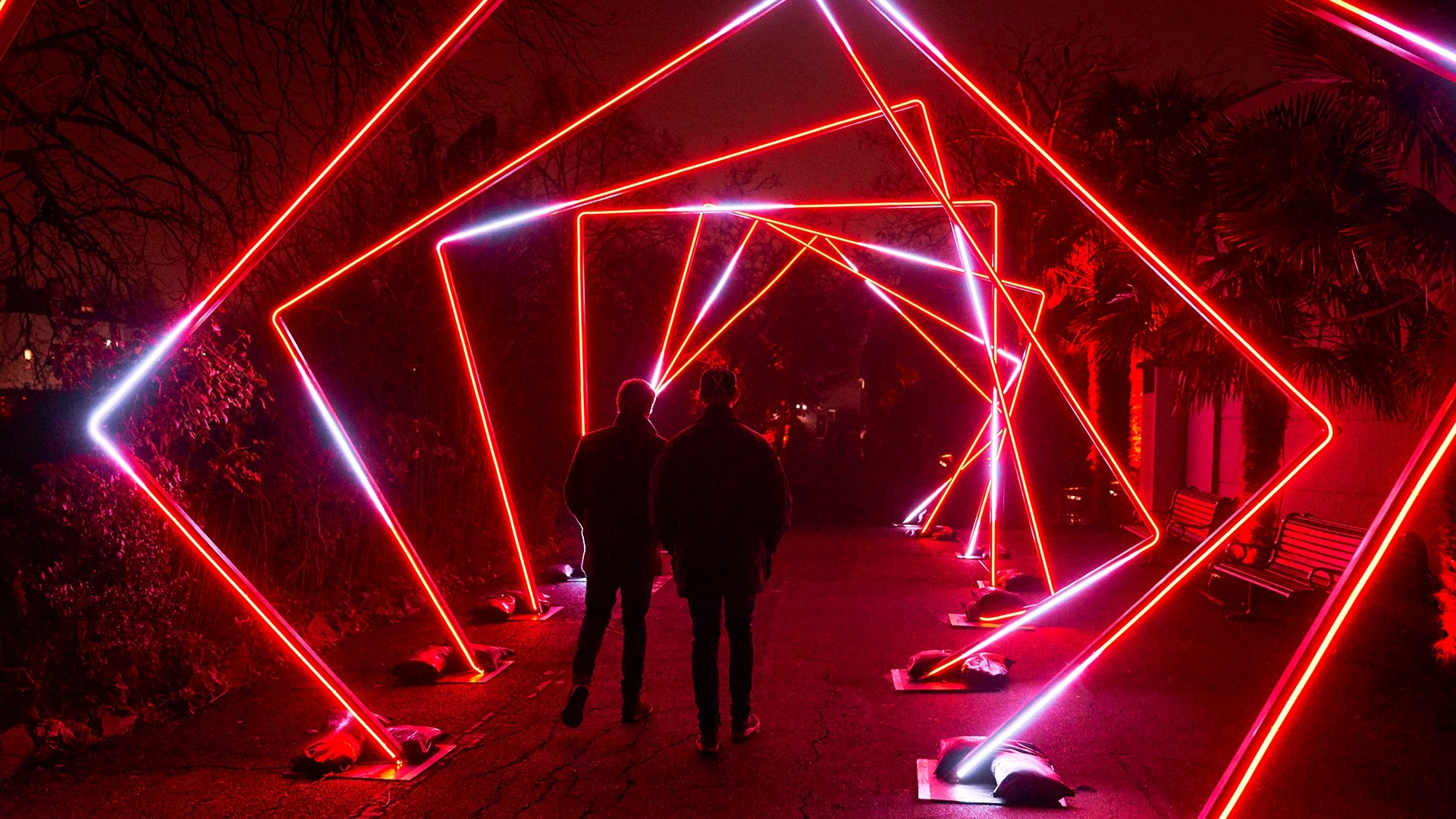 Houston events Lightscape returns to the Houston Botanic Garden