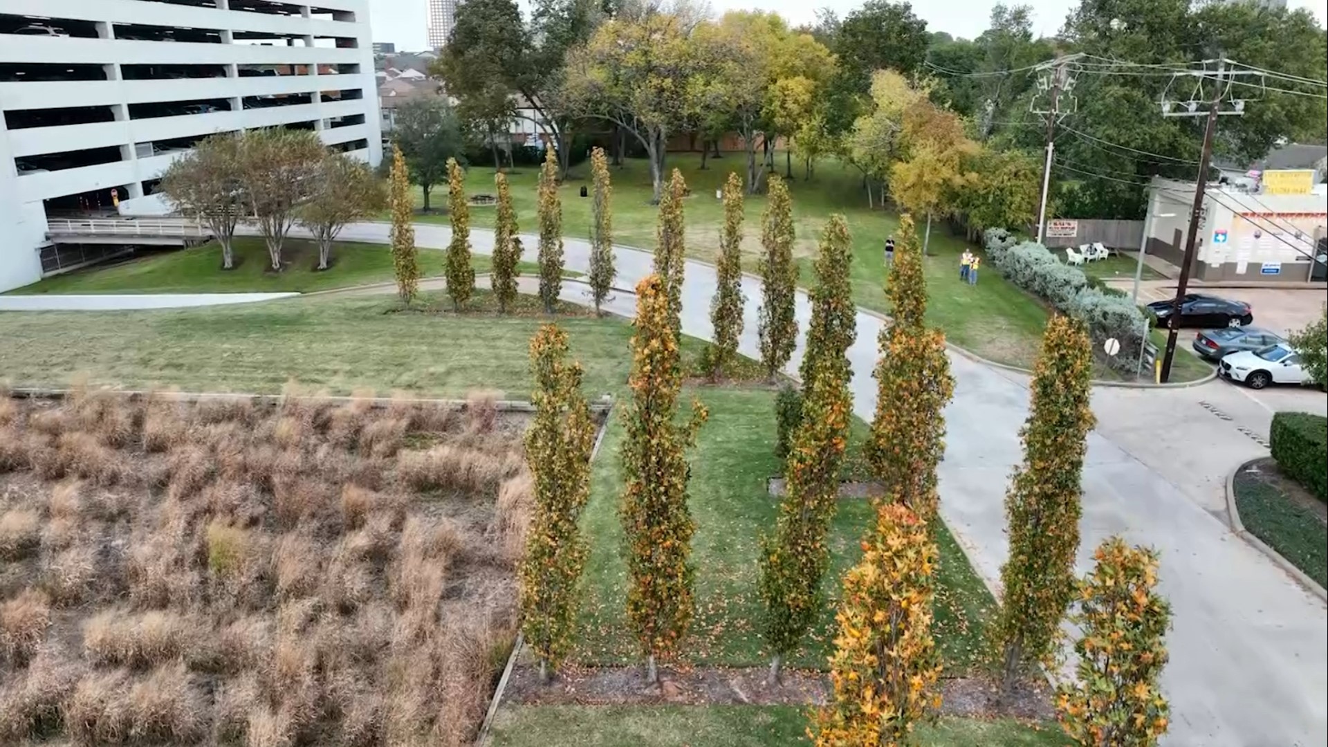 Tree Houston Color Fall colors popping up across Houston | khou.com