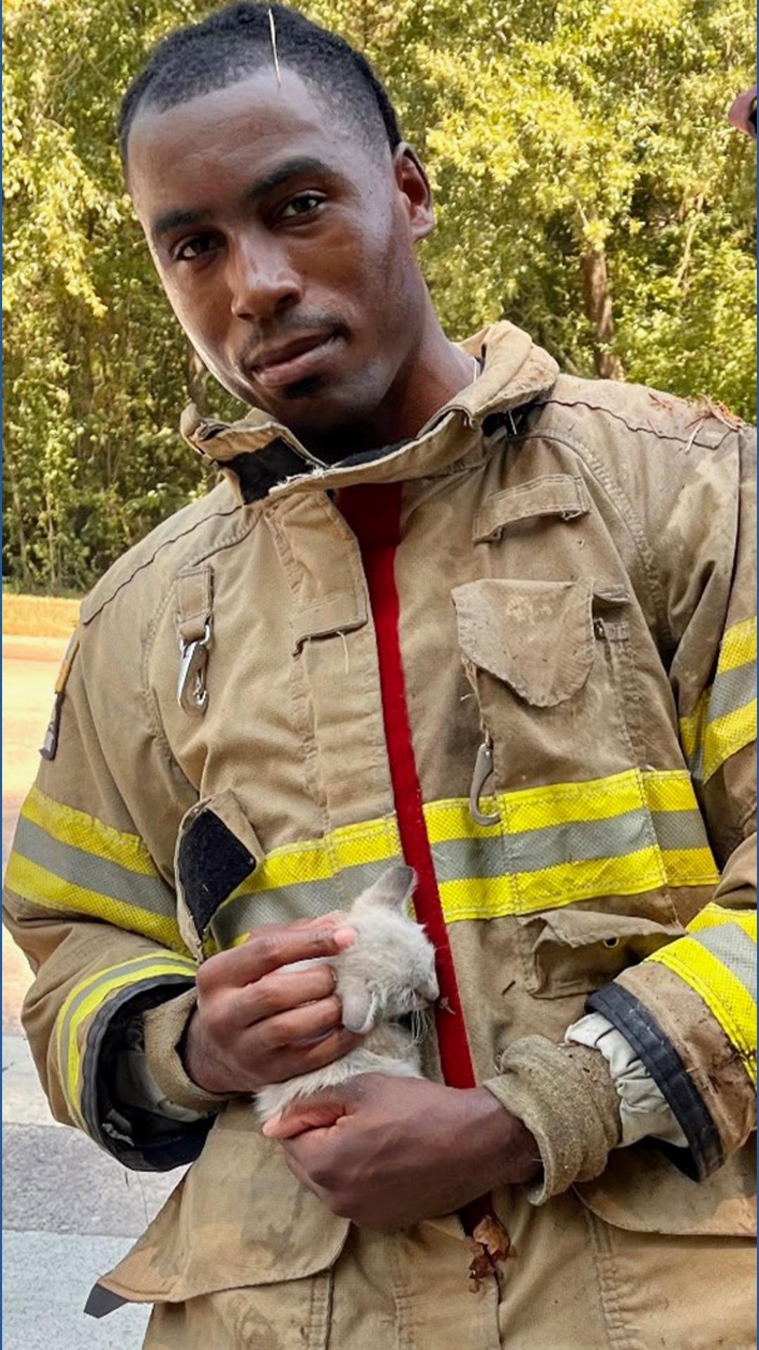 Firefighters rescue kitten from storm drain in Atascocita | khou.com