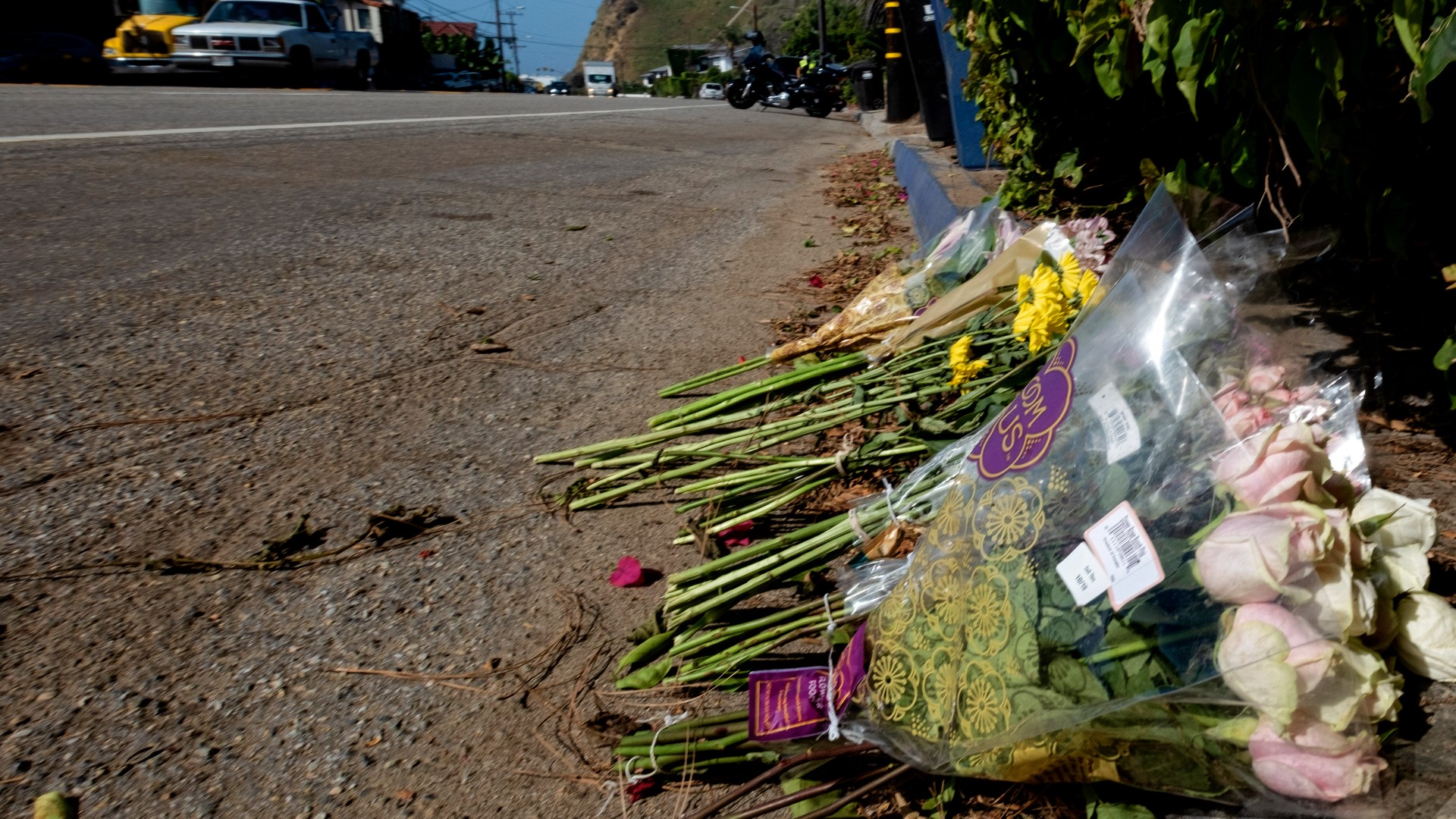 The four students were walking along Pacific Coast Highway when an out-of-control car hit them, according to investigators