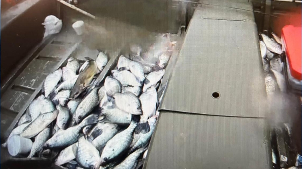 Texas Game Wardens uncover multiple violations on the Neches River