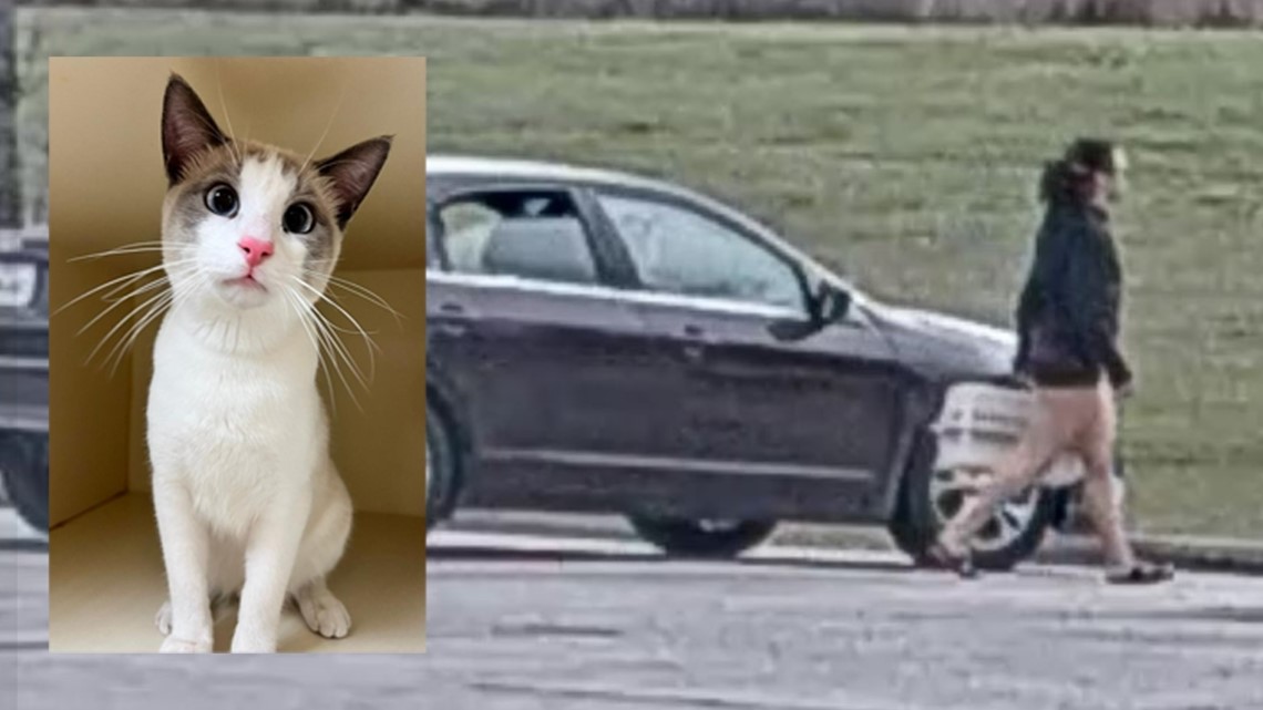 Seorang wanita membuang kucing ke tempat sampah di taman Rosenberg