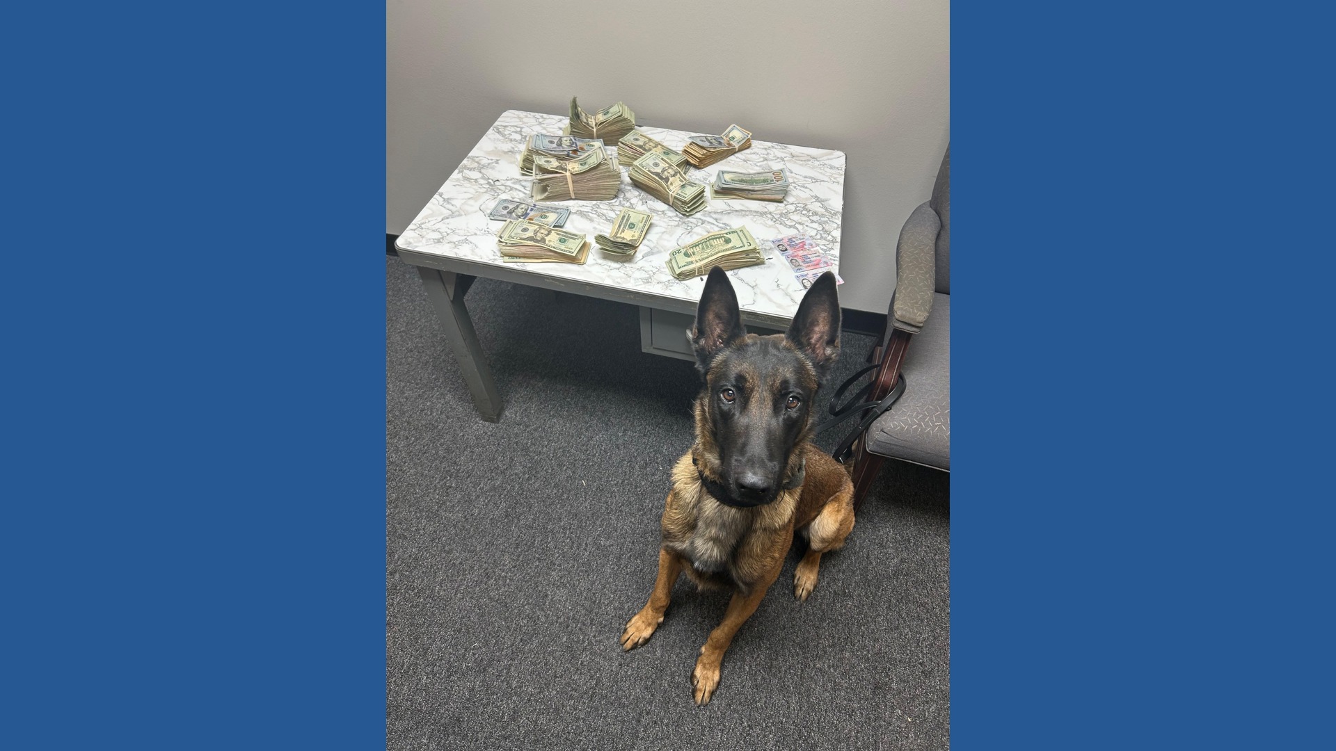 K-9 alert leads to drug and cash seizure during I-10 traffic stop ...