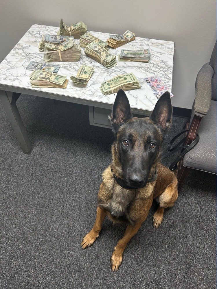 K-9 alert leads to drug and cash seizure during I-10 traffic stop ...