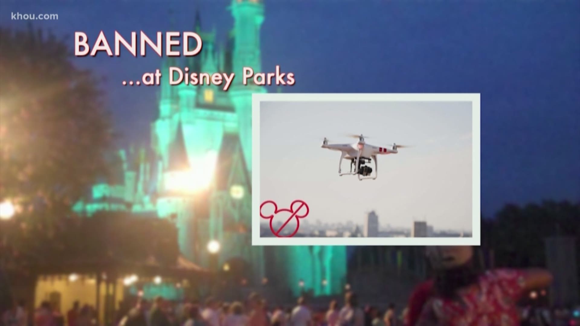 Summer vacation season is starting. And as almost all travelers know, Disney World and Disneyland are the happiest places on earth. Unless, that is, you try to bring in an item that is banned from their parks.