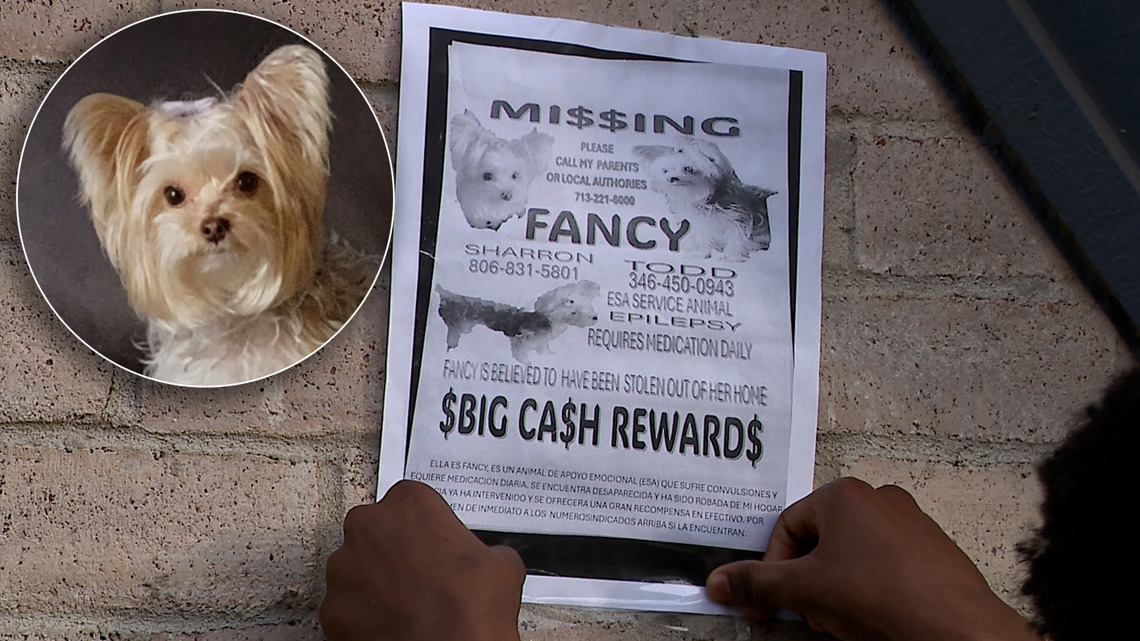 Houston-area family says beloved dog vanished after workers entered apartment