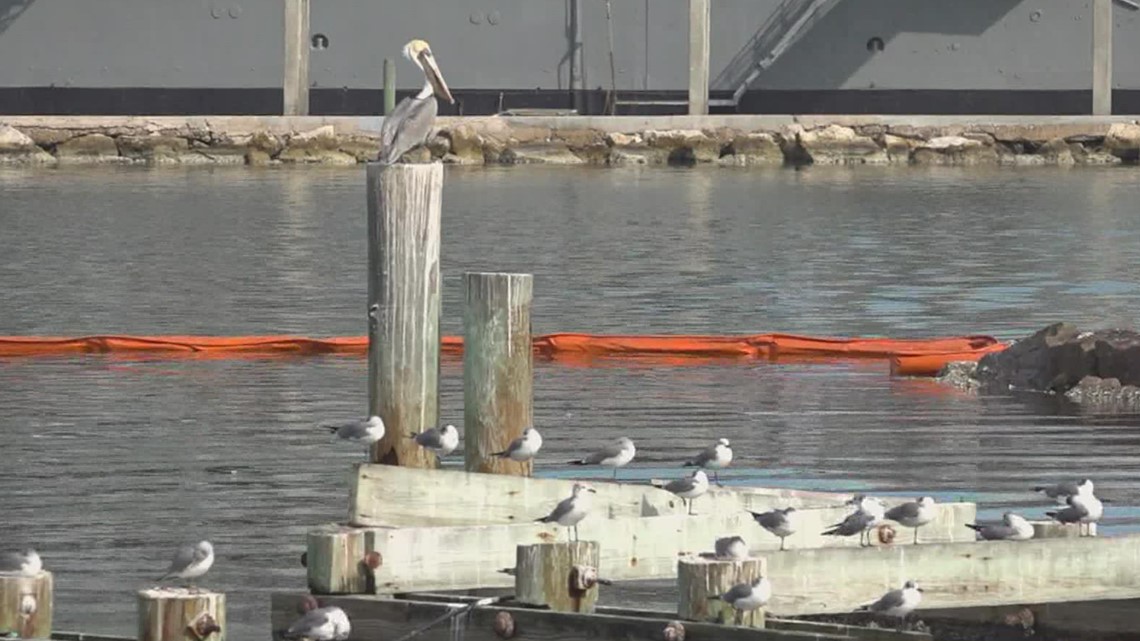 Corpus Christi oil spill 3.5 times larger than previously reported