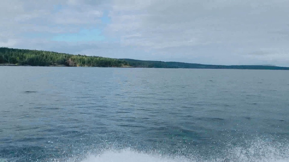 San Juan Islands channel could renamed after Indigenous leader - Vimarsana News