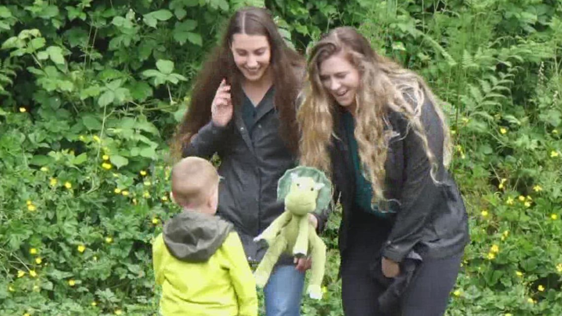 WSDOT helps boy reunite with lost dinosaur toy - Vimarsana News