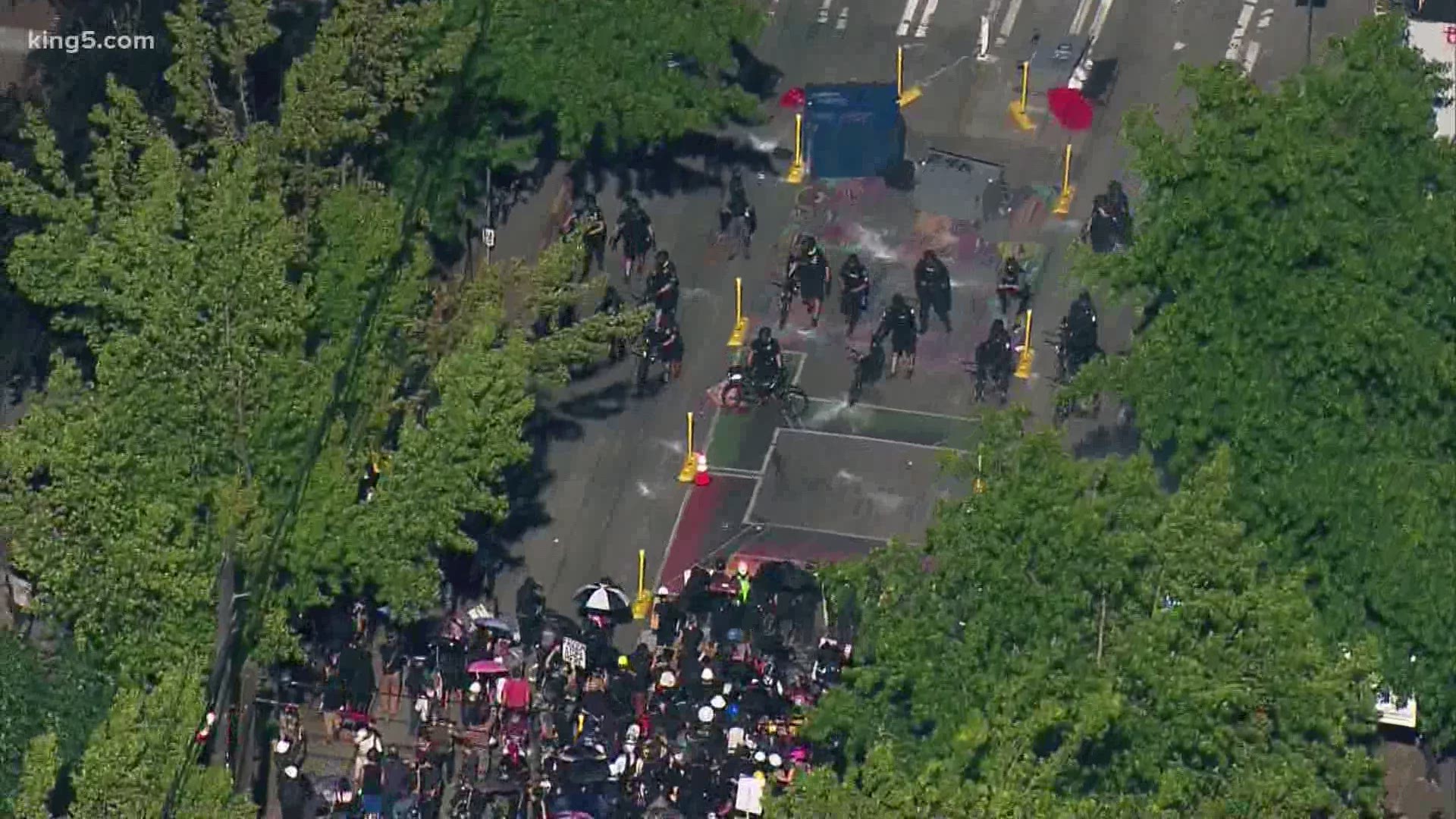 Thousands of people marched in Capitol Hill Saturday to protest police brutality. At one point, a riot broke out and several people were arrested.