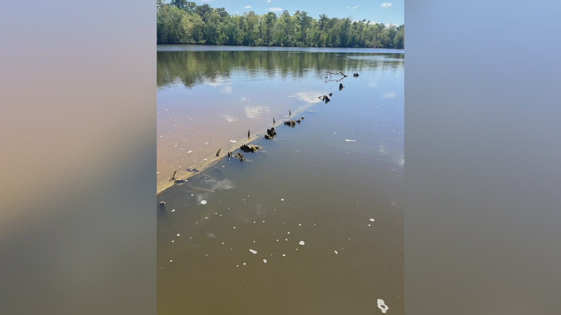 Bill Milner, who grew up on the Neches River, made the discovery last week near Evadale and immediately knew he needed a second set of eyes on the finding.