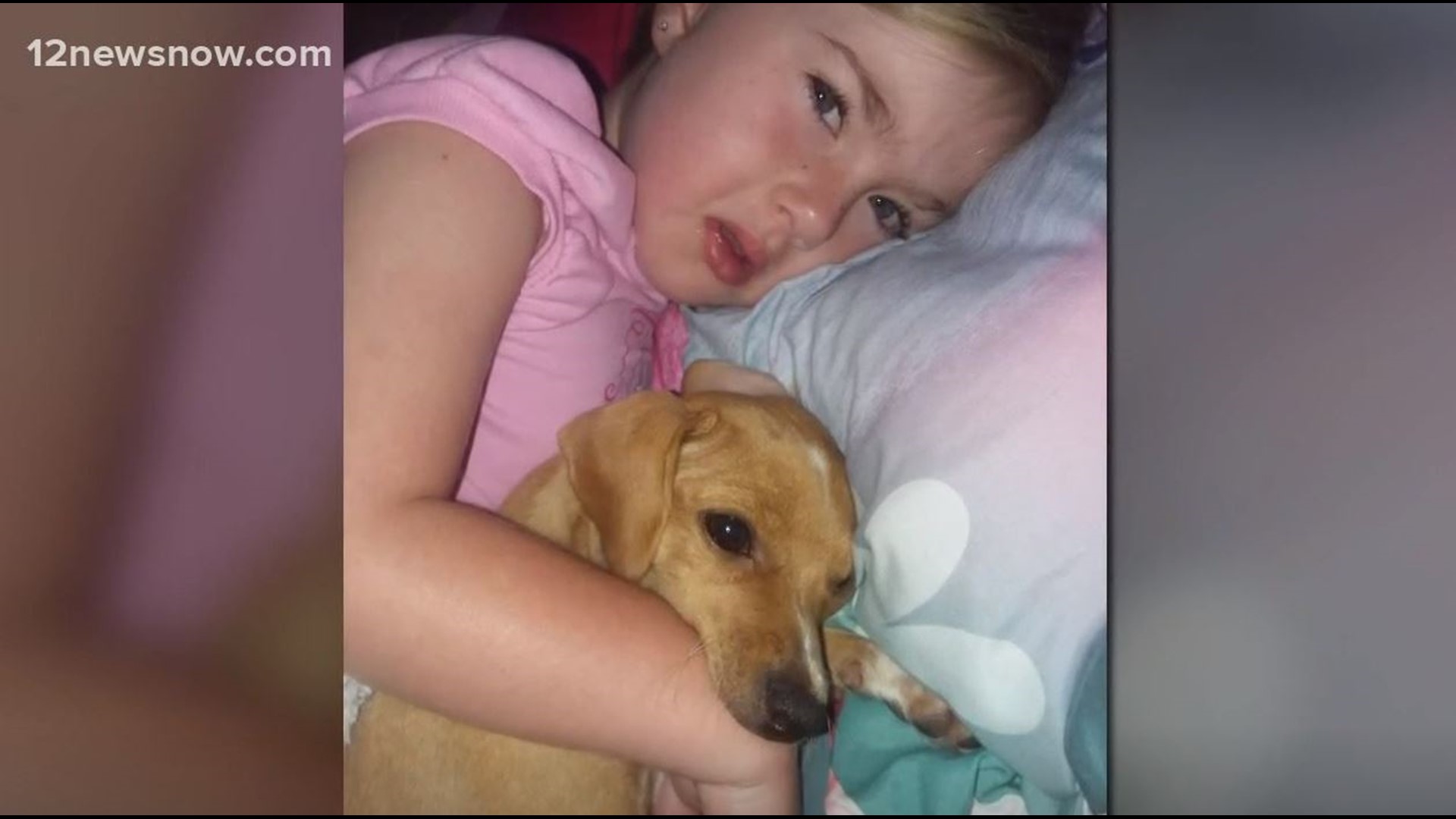 Groves Woman Warns Pet Owners Of Dangerous Ingredient In Sugar free Groves woman warns pet owners of dangerous ingredient in sugar free
