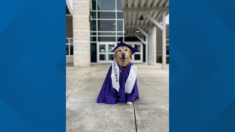 'She has more than earned her feather' : Service dog graduates from Groves Middle School with honors