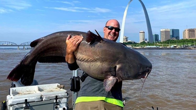 'Fish of a lifetime' | Angler catches 112-pound catfish on Mississippi River