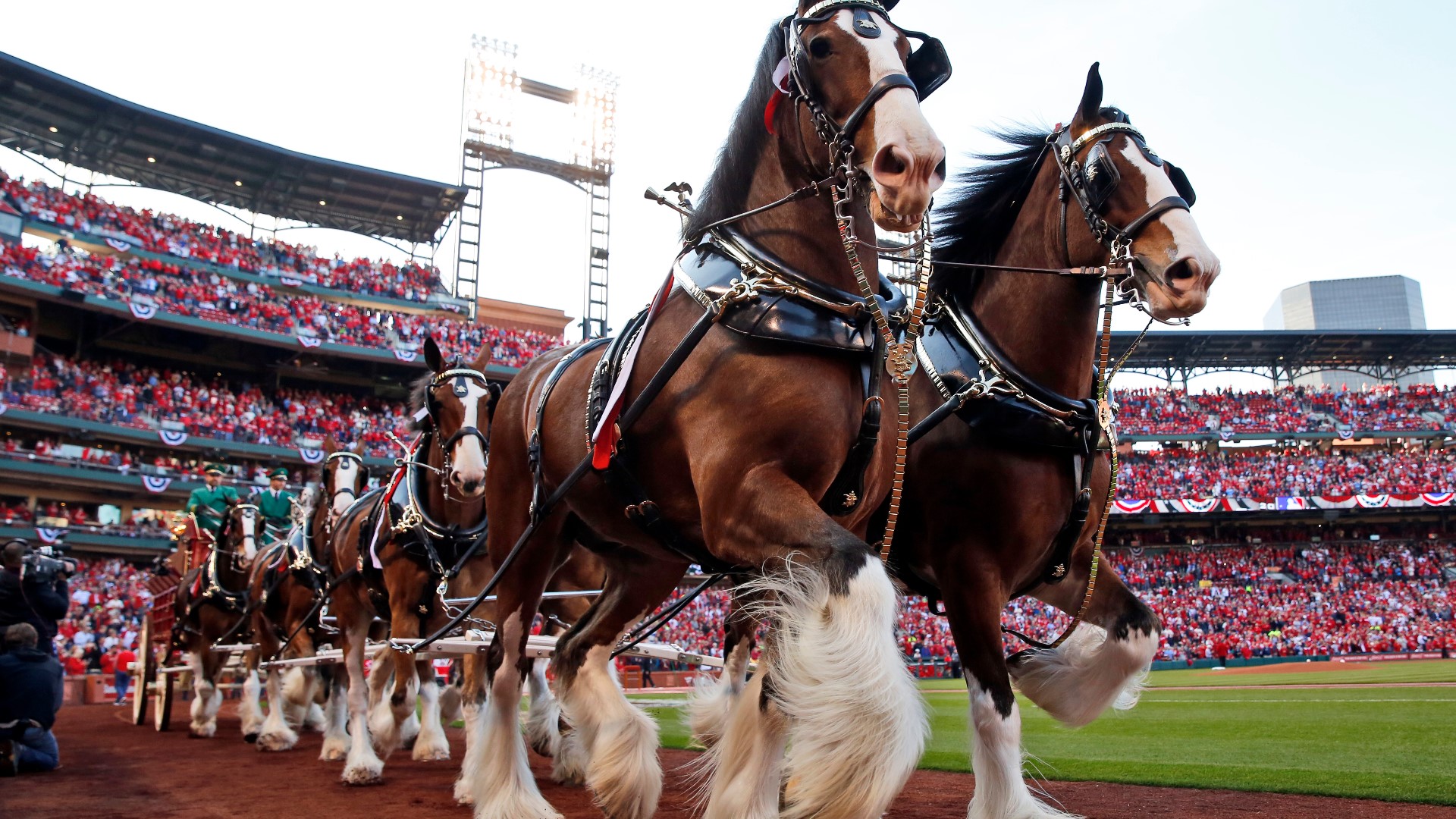 Budweiser Clydesdales commercial honors 9/11 victims