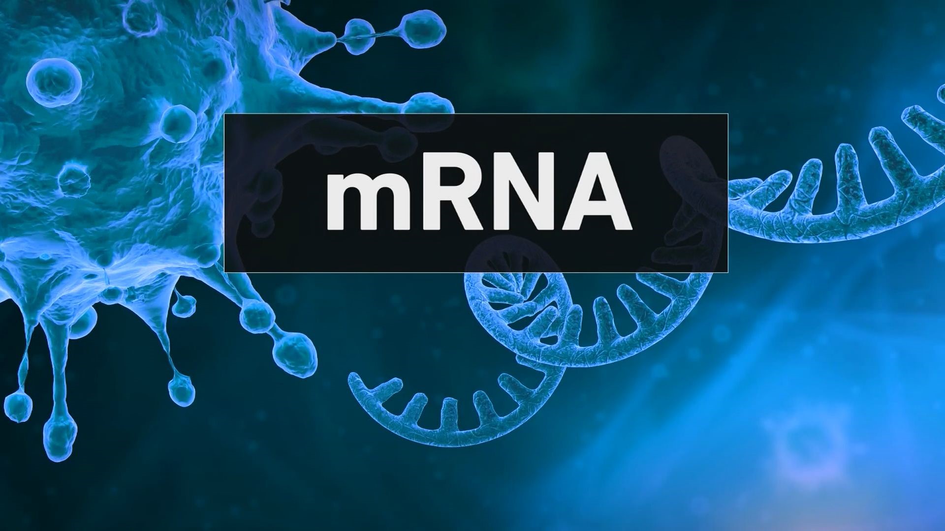 We talked to David Bentley, co-director of the RNA Bioscience Initiative at Anschutz Medical Campus, about how mRNA could change future vaccines after COVID.