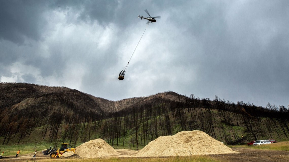 Can mulch help prevent flash floods after wildfires? - Vimarsana News