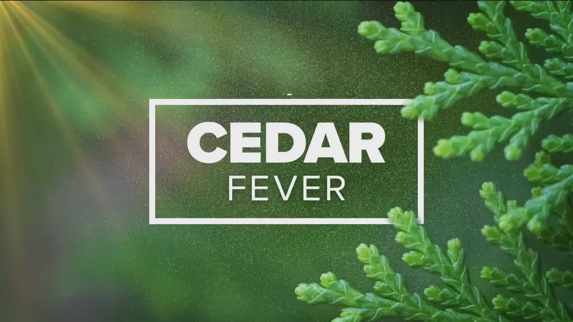 Cedar demam di Houston pada tahun 2023