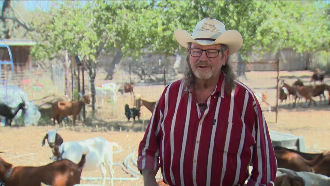 Peternak Texas mencoba menyelamatkan puluhan kambing setelah kebakaran hutan