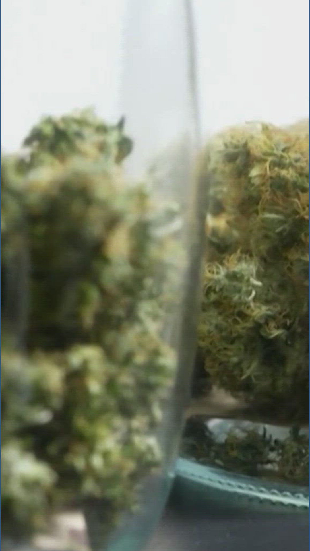 Judge extends sale of smokeable hemp in Texas until July 27