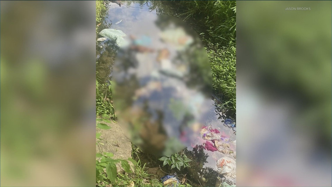 South Austin residents mourn 11 dogs found dead in Boggy Creek - Vimarsana News