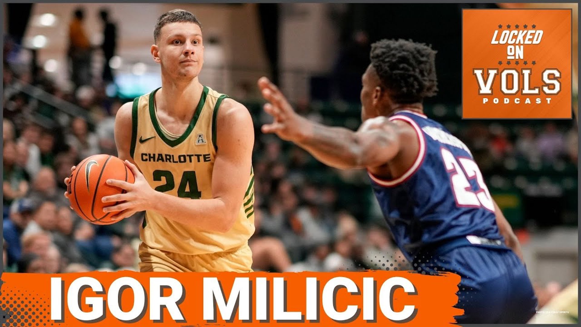 Igor Milicic commits to Tennessee Basketball. Rick Barnes and the Vols dominating Transfer Portal