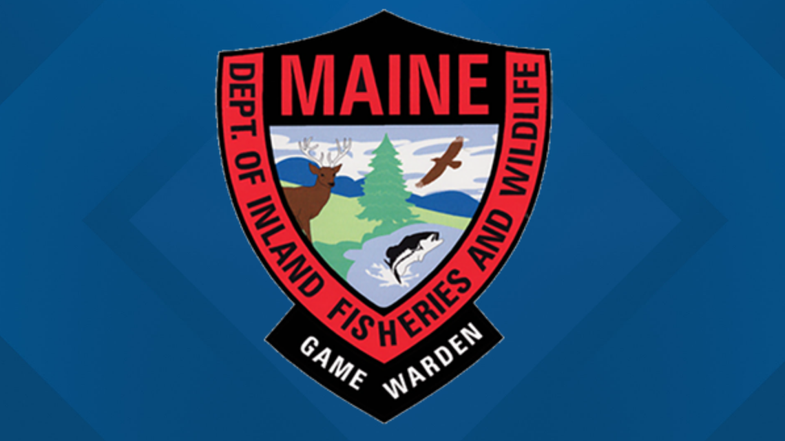 Man rescued by Maine fame wardens, K9 in Franklin County - Vimarsana News