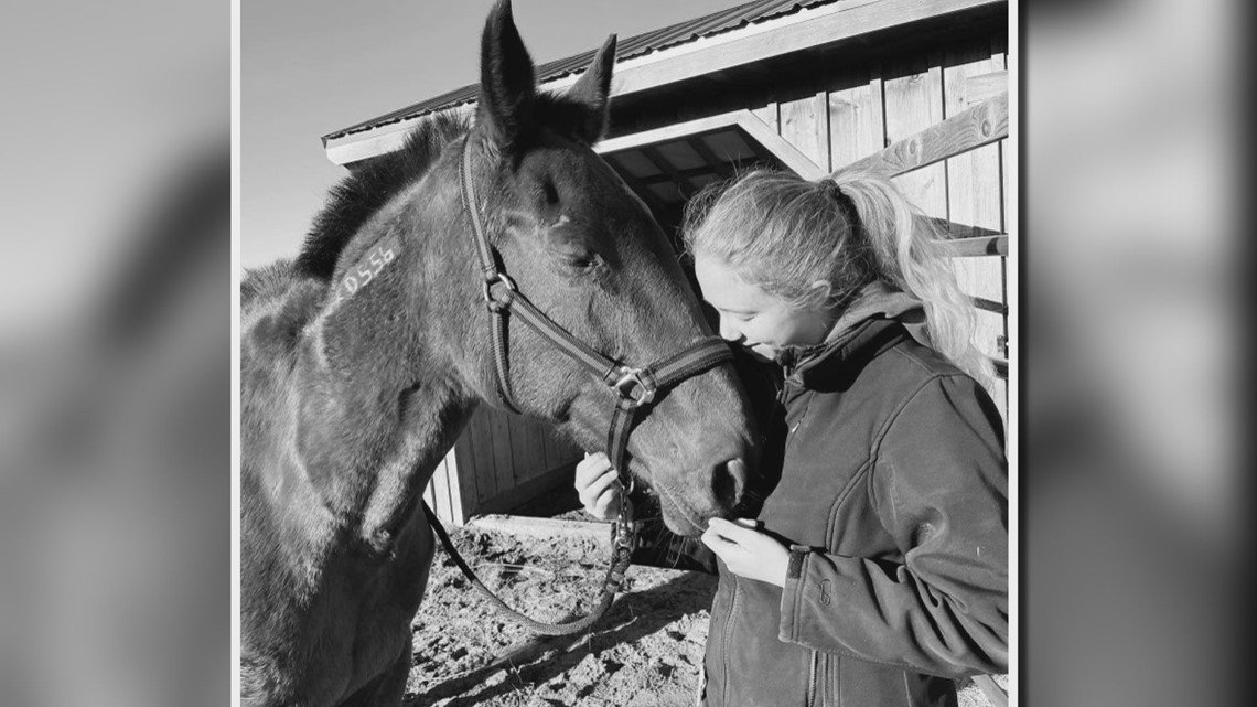 Kuda pacu Maine diselamatkan dari kandang pembunuhan oleh mantan pawang