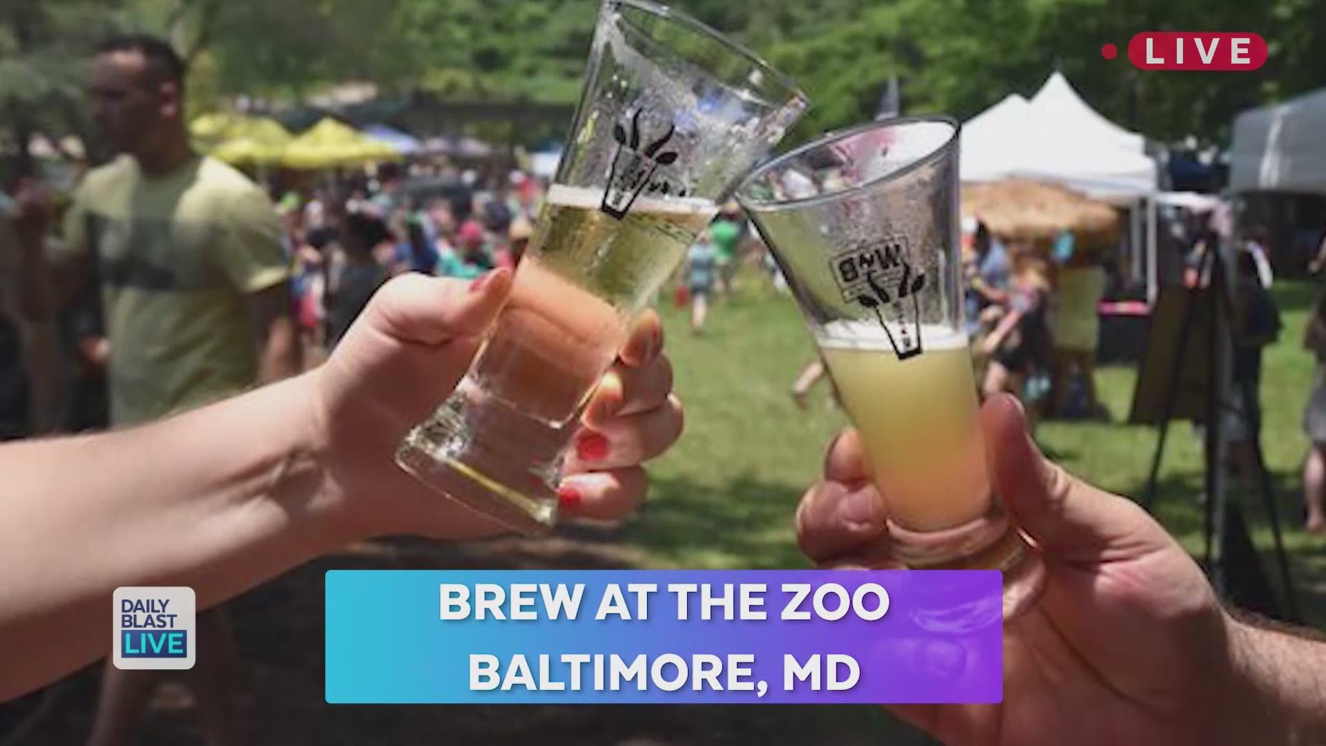 Memorial Day weekend is almost here and Daily Blast LIVE is bringing the best food and beer festivals happening nationwide over the long weekend. From Maryland's "Brew at the Zoo" to the New Orleans Wine and Food Festival, DBL is sharing all the delicious