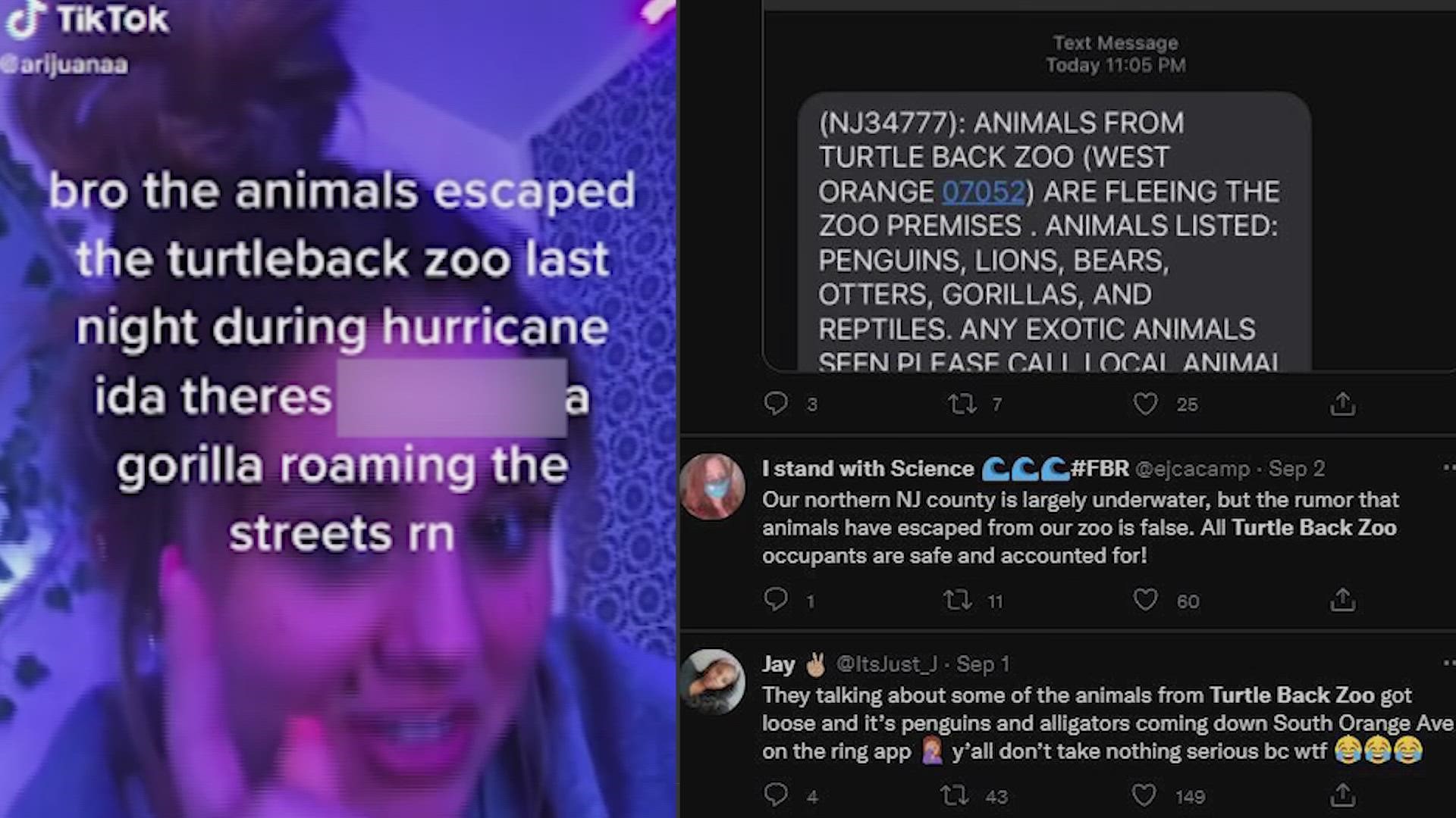 Animals Didn T Escape From New Jersey Zoo During The Ida Storm Khou Com