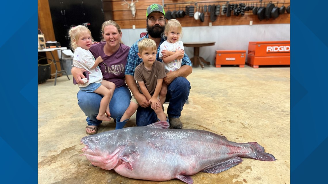 Ikan lele seberat 104 pon ditangkap di Sungai Mississippi mencetak rekor negara